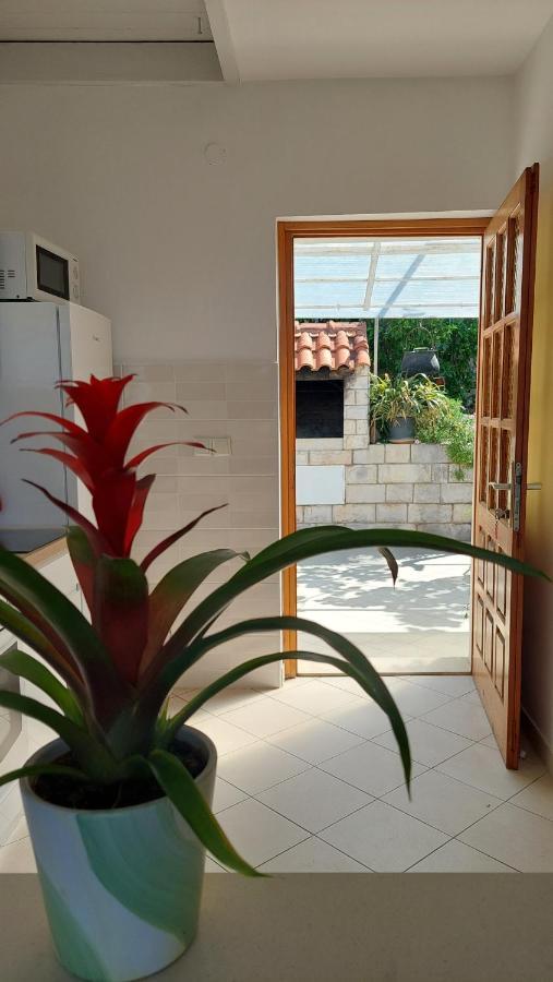 Apartmani Matea Zaton  Exterior photo